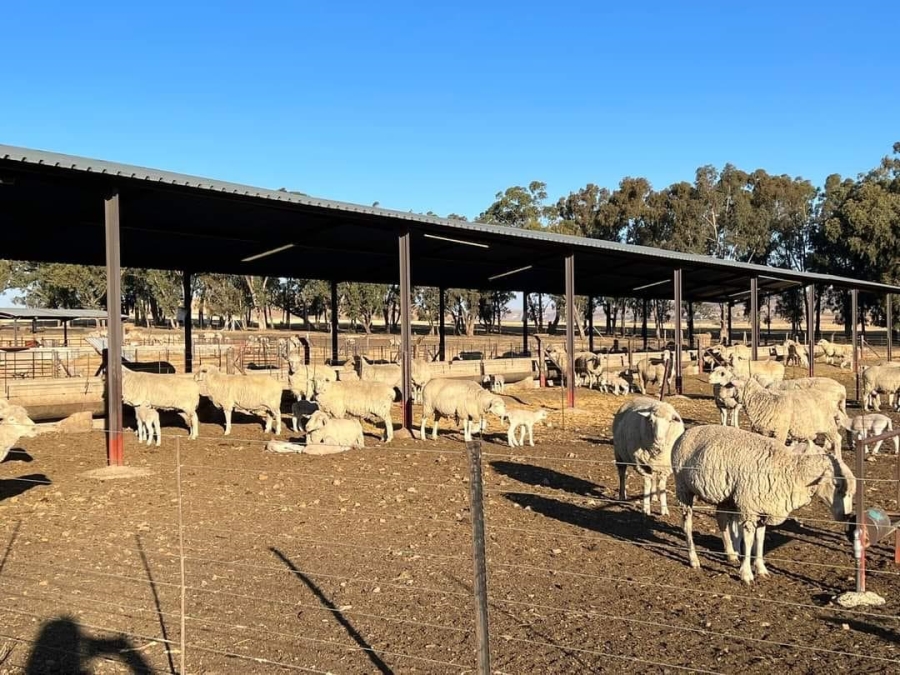 Commercial Property for Sale in Kestell Rural Free State